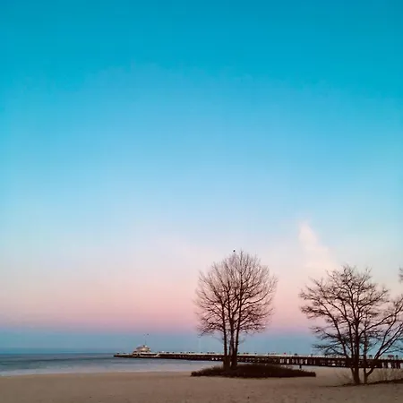 Leśna Sonata Z Tarasem I Ogródkiem Apartamento Sopot