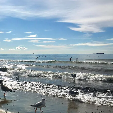 Leśna Sonata Z Tarasem I Ogródkiem Sopot