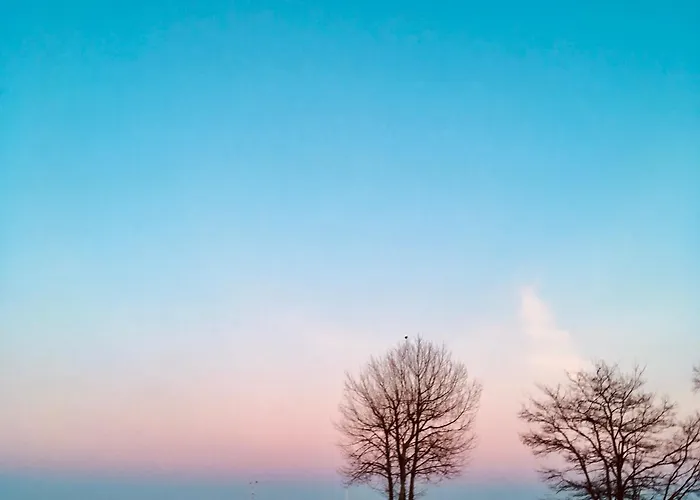 Leśna Sonata Z Tarasem I Ogródkiem Apartamento Sopot