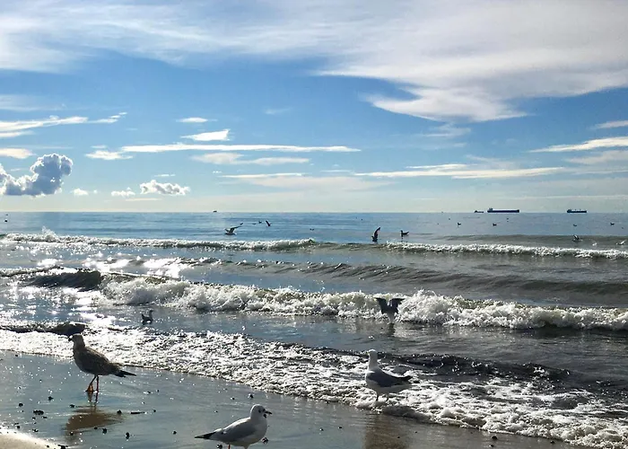 Lesna Sonata Z Tarasem I Ogrodkiem 索波特